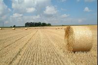 Rundballen Stroh 2