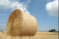 Rundballen Stroh 3