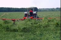Grünfutter zetten 34