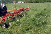 Grünfutter zetten 37
