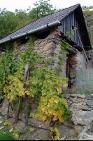 Wachau 3
