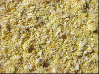 Maiskornsilage 3