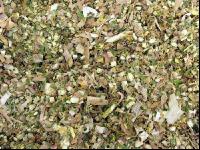 Silomais Silage 35