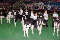 Amstetten 12