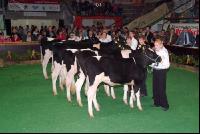 Amstetten 23