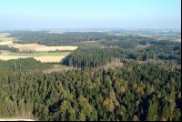 Waldland Luft