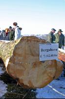 Holz Submission