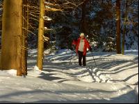 Langlauf 2