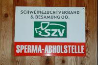 Samen abholen 5