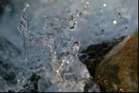 Wassergischt 6