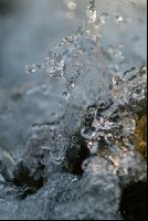 Wassergischt 5