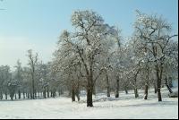 Verschneit 1