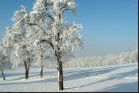Verschneit 2