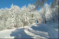 Verschneit 19