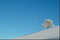 Verschneit 4