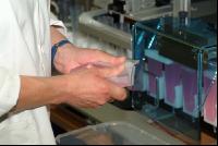 Sperma Portion 1