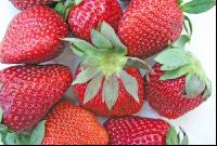 Erdbeeren 1