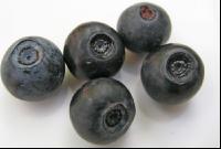 Waldheidelbeeren 2