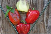 Paprika 5