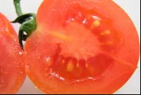 Tomate 3