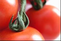 Tomate 2