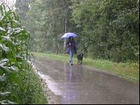 Regentag 4
