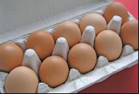 Eier 1