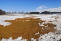 Schnee Schmelze 6