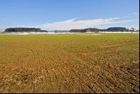 Schnee Schmelze 10