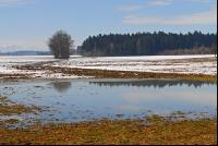 Schnee Schmelze 11