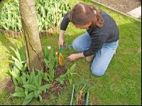 Gartenarbeit