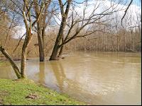 Hochwasser Donauau 8