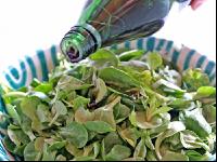 Feldsalat Kernöl