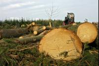 Harvester 49