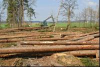 Forwarder 10