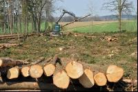 Forwarder 11
