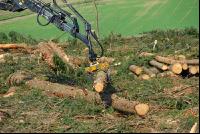 Forwarder 14