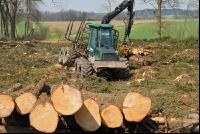 Forwarder 15