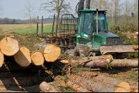 Forwarder 18