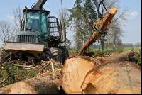 Forwarder 19