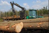 Forwarder 20