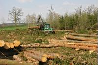 Forwarder 23