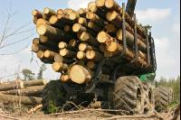 Forwarder 27