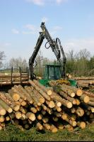 Forwarder 30