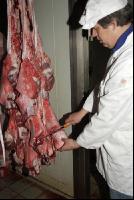 Fleischbeschau Kalb 4
