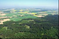 Mischwald Luft 1