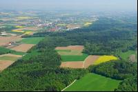 Mischwald Luft 2