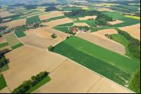 Unter Folie Luft 1