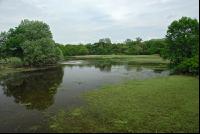 Sumpfland 1
