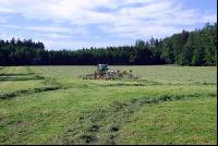 4 fach Schwader 17